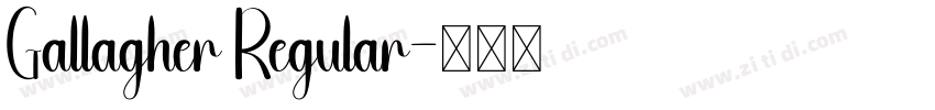 Gallagher Regular字体转换